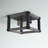 Charles Flush Mount-1099322398