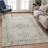 Machine Washable Indoor/Outdoor Earleville ACN2357 Traditional Rug-1321539522