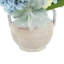 Hydrangeas and Ranunculus in Glazed Ceramic Pot