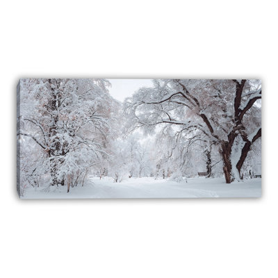 Snow Covered Park Wrapped Canvas Wall Art