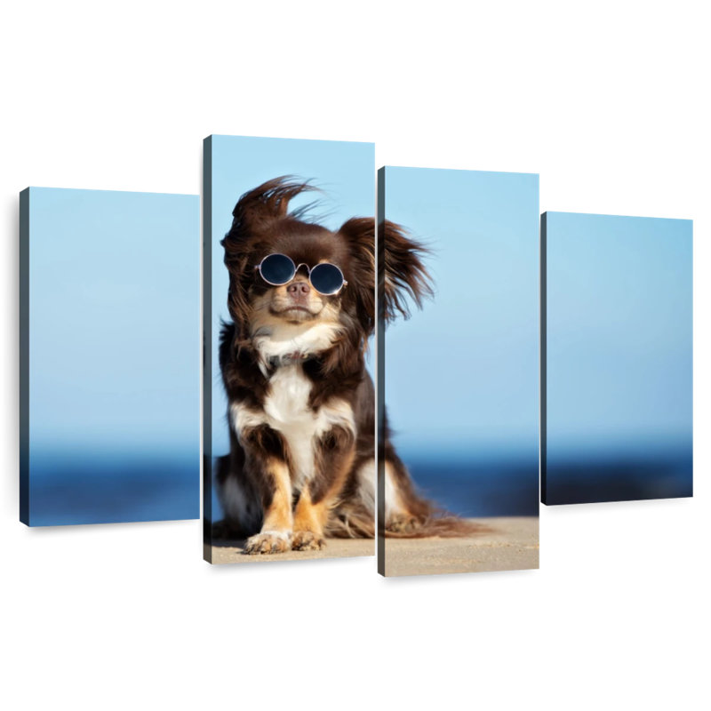 Brampt Cool Chihuahua