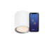 Flush Mount-2082423710