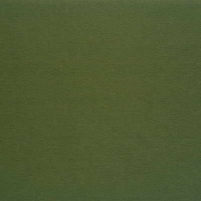 Gato Faux Leather Fabric, Dark Olive