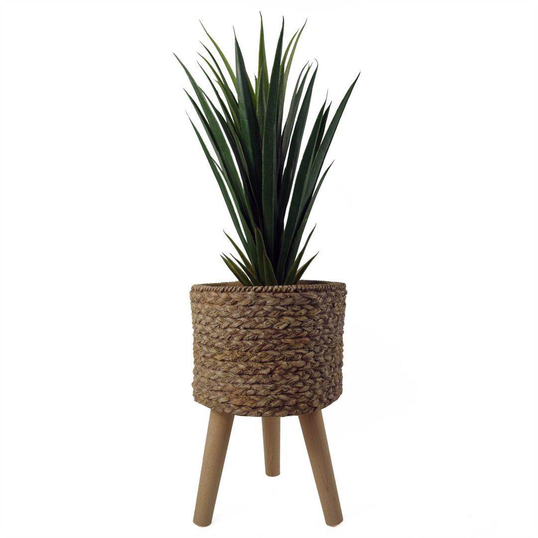 Cachepot