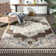 Oriental Indoor Rug