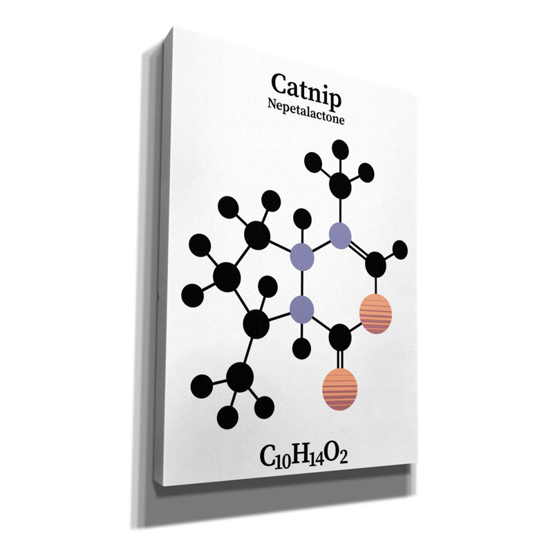" Catnip Molecule " by Maxim, 26" H x 18" W x 0.75" D
