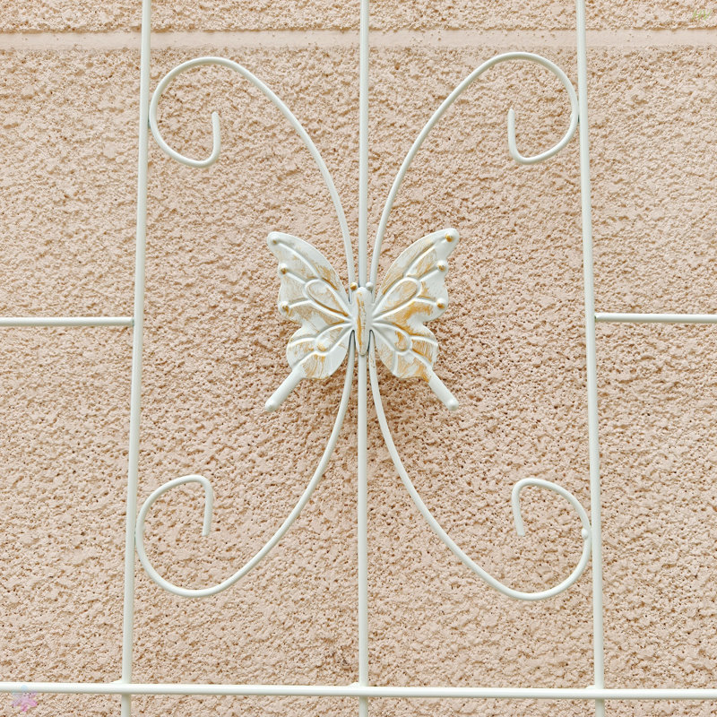  Birdell - paquet de 4 treillis de jardin en métal antirouille pour plantes grimpantes, Blanc