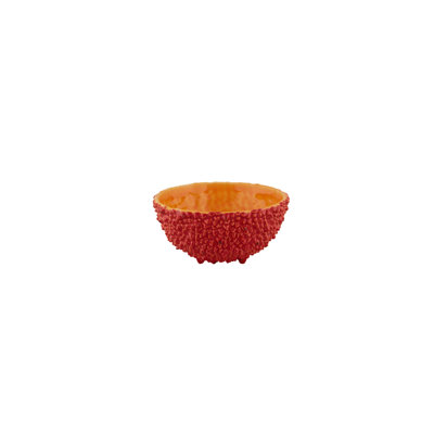 Amazōnia Earthenware Salad Bowl
