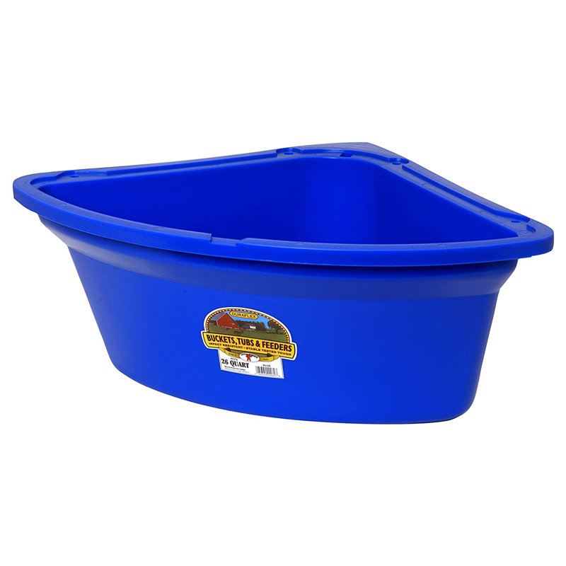 Food Storage And Container