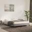 Lit Yaziel, lit plateforme tapissier en velours, sans matelas-1026029432-1026029437