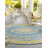 Blue Cahuita Indoor/Outdoor Traditional Rug-1727498425