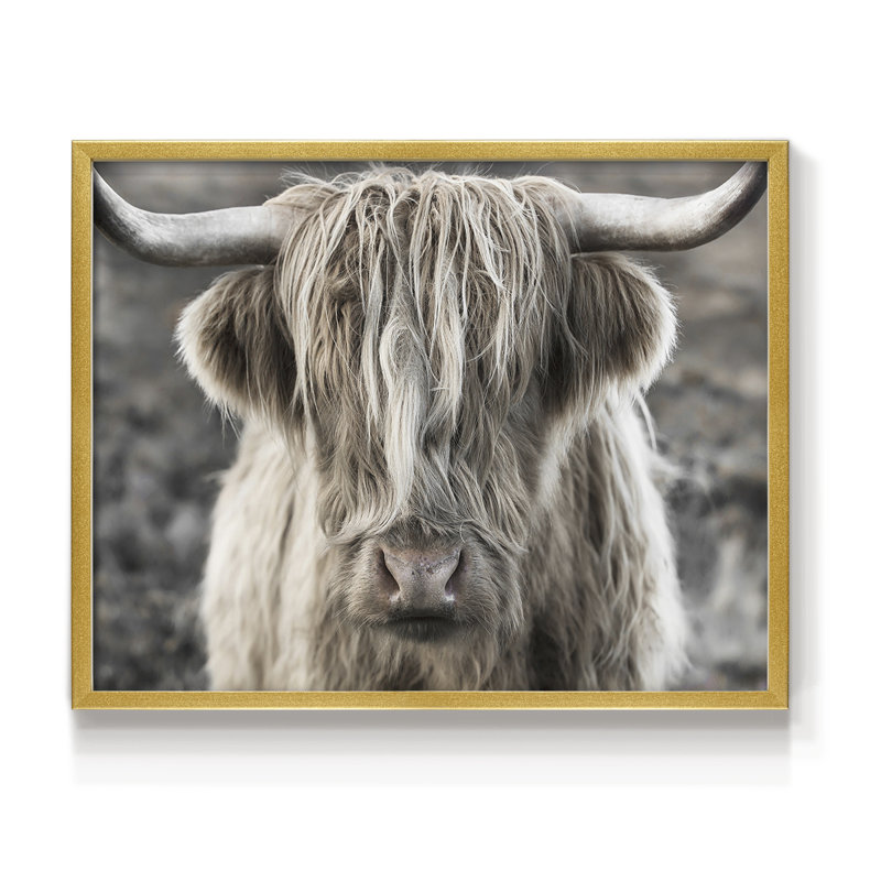 Highland Skye -Framed Print - Restickable, 8" H x 10" W