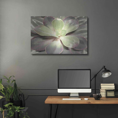 «Glowing Succulent I» par Lori Deiter