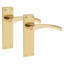 Scroll Astrid Door Handles 