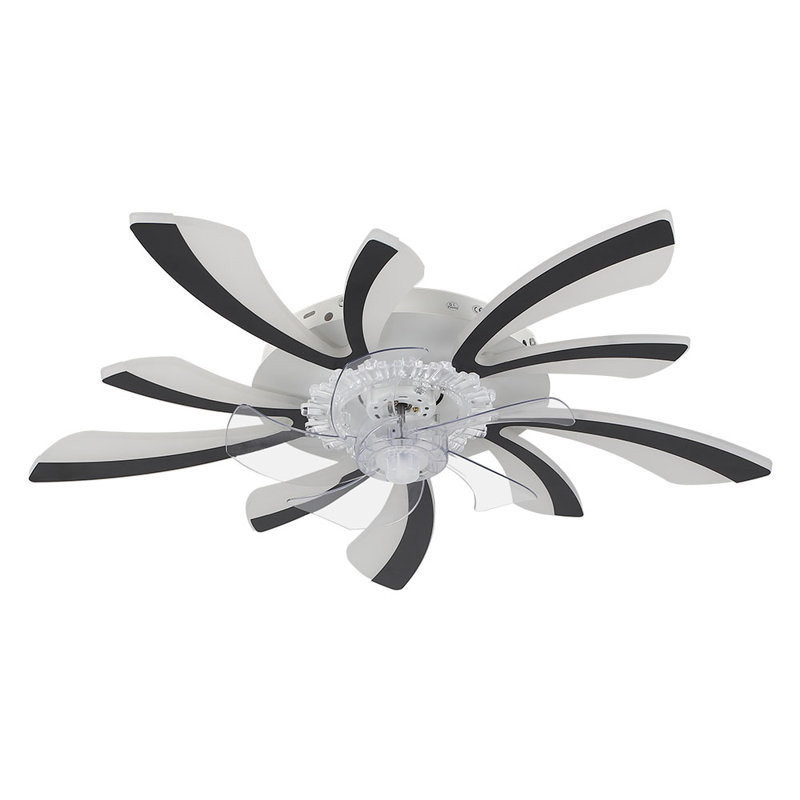 Annuska 78cm Ceiling Fan with LED Lights, Black