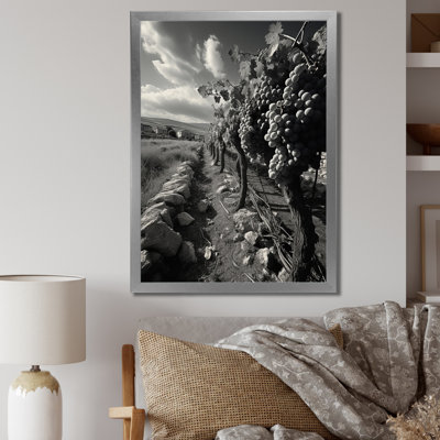 " Vibrant Monochrome Vineyard "