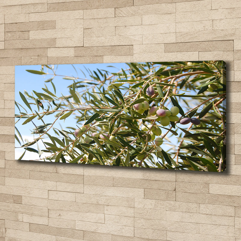 Olive Tree - Wrapped Canvas Print