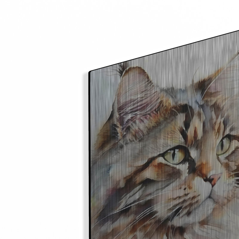 «Maine Coon Cat» par Petals Prints Design «Maine Coon Cat» par Petals Prints Design, H 24 po x l 16 po