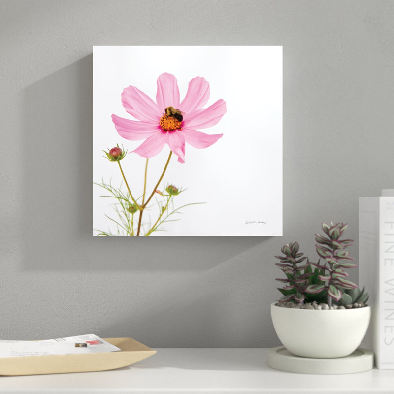 " Pale Cosmos II " by Van Swearingen, Debra, 12" H x 12" W