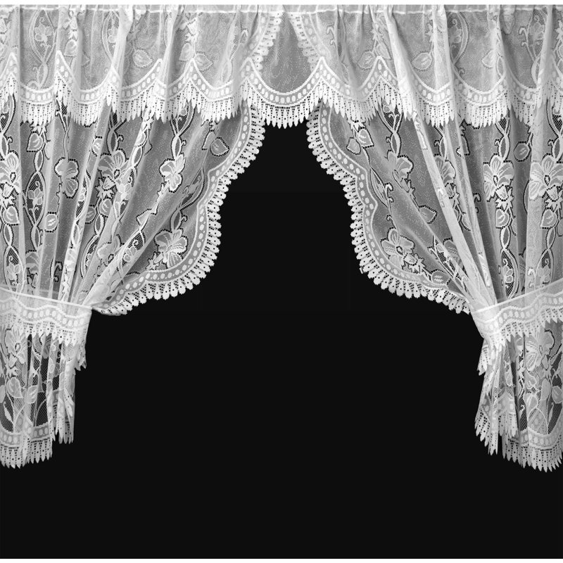 Hoehne Semi Sheer Curtain Single Panel, 100 W x 45 D cm