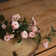 Single Stem Flowers Roses Stems, Bushes, And Sprays Arrangement