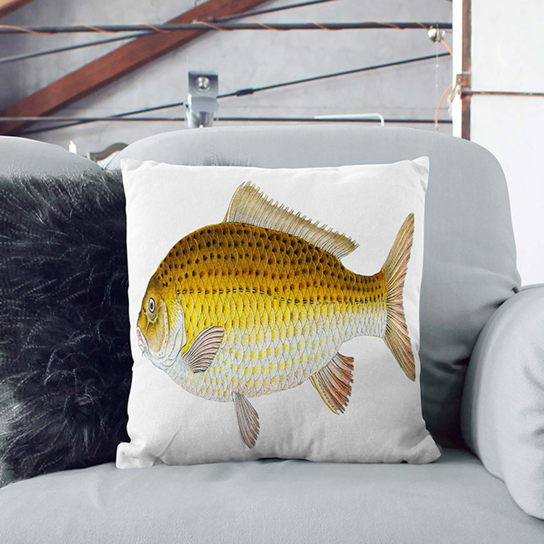 Carp Fish by Edward Donovan Cushion with Filling