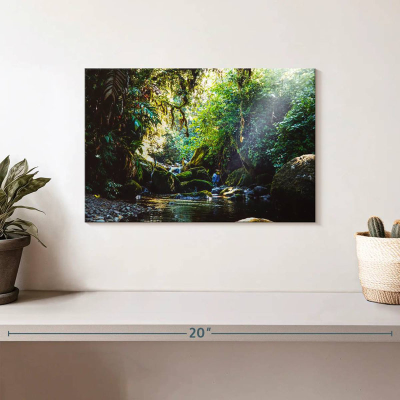 Alvord Forest In Panama, 8" H x 12" W