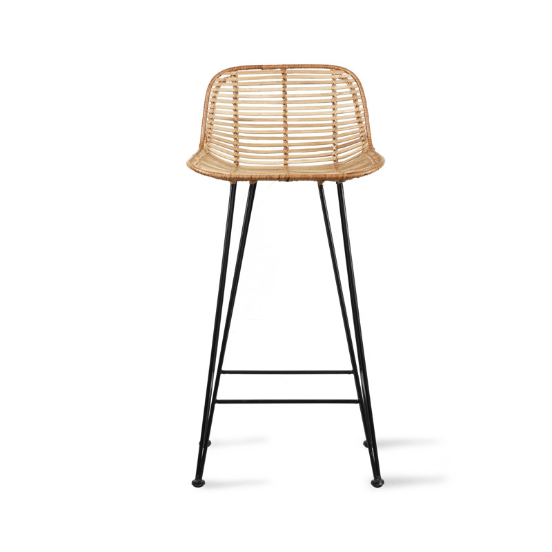 Broomall Counter Stool with Metal Frame