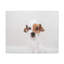 No Frame Print on Canvas