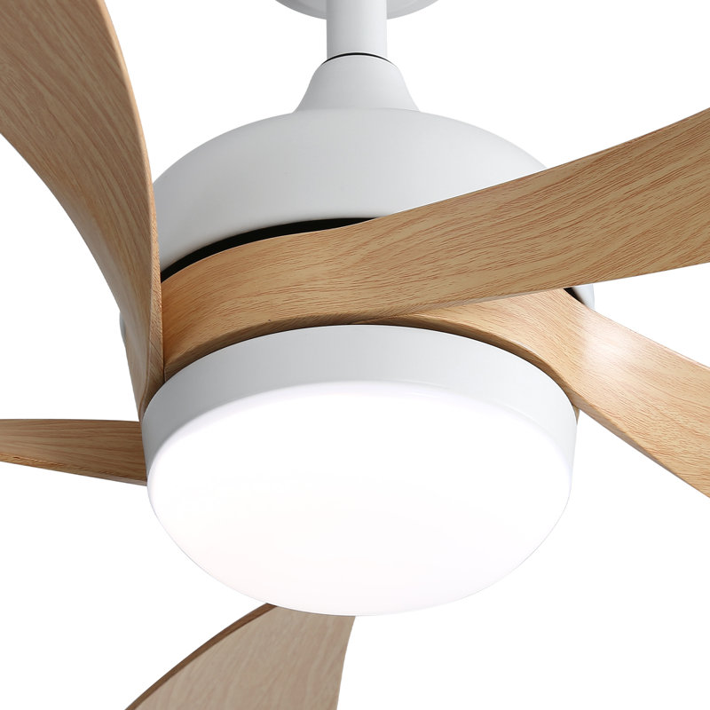 Ventilateur de plafond standard à 5 pales avec télécommande et lumière DEL Damecia, Bois naturel / blanc, 42"