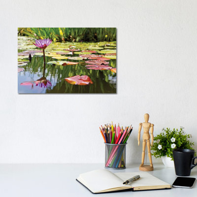 Purple Water Lily by Susan Schmitz - Wrapped Canvas Gallery-Wrapped Canvas Giclée