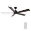  Ventilateur de plafond 60 po à courant continu noir sans lumière, télécommande-630970320