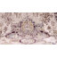 Tapis gris Canora Regalia Deepa-469158422