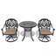 Ensemble de salle à manger 3 pièces en aluminium coulé toutes saisons comprenant 2 chaises pivotantes et une table ronde de 30,71 po avec structure noire-1605324517