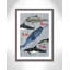 «Born to be free», impression sur papier-47841723-47841729