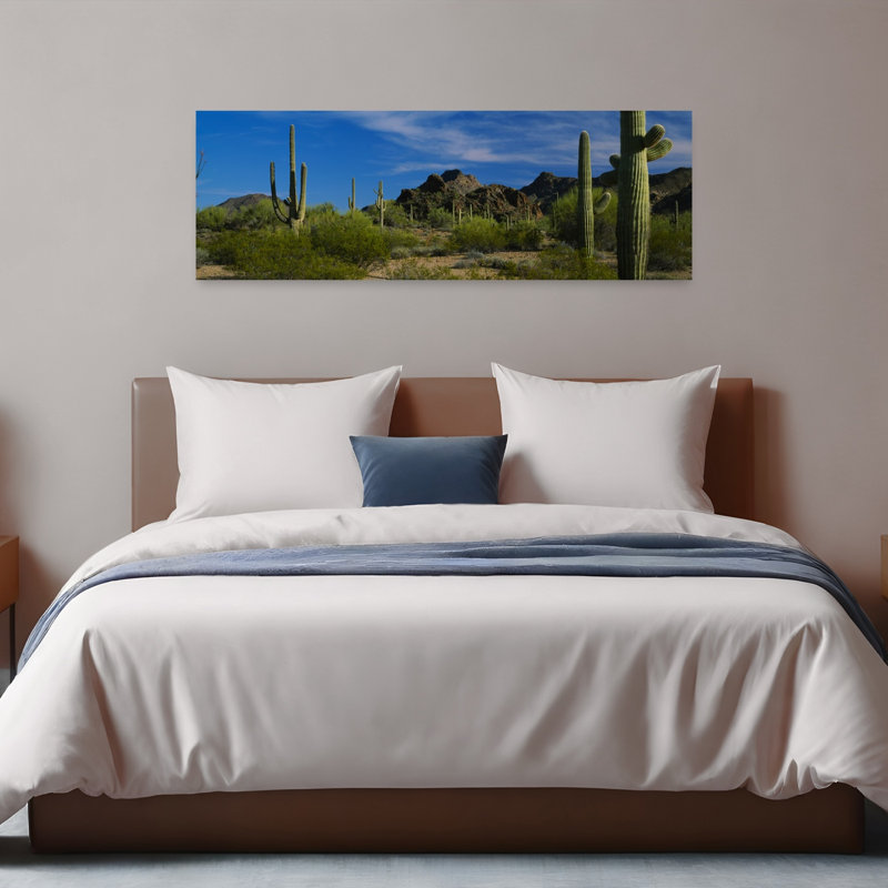 Cactus sur un paysage, désert de Sonora, orgue, cactus, Monument national, Arizona, États-Unis, H 16 po x l 48 po