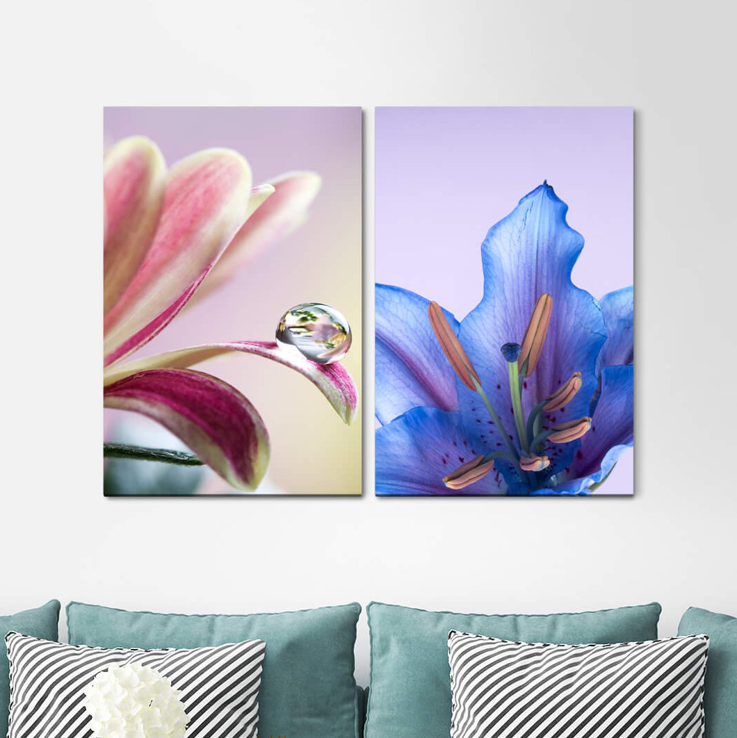 2-tlg. Leinwandbilder-Set - Fotografie „Zinnias Orchid Blue Flower Water Drops Summer”