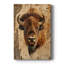 ANIMALS Series CDXC III - Gallery Cavas