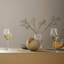 Perfection Red Wine Glass, Clear, 10.8 Oz, 6 Pcs.