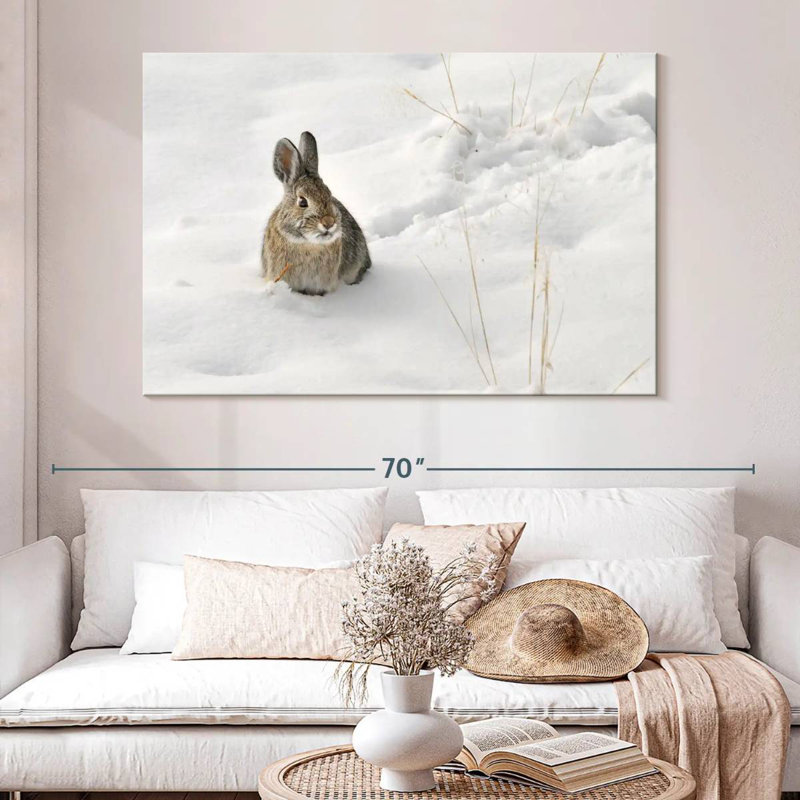 Ronce lapin dans la neige