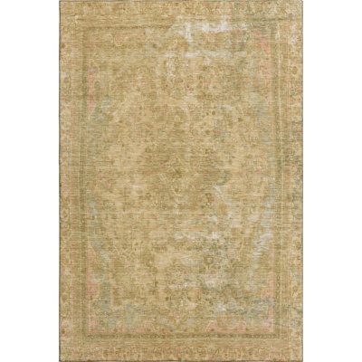 Premium Machine Washable Lampkins AMF1646 Global Rug