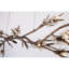 Light Sputnik Modern Linear Brandolini Branch Chandelier-91757320-91757341-131685718