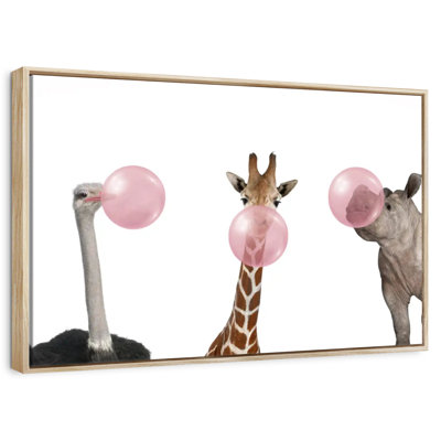 Funny Animals