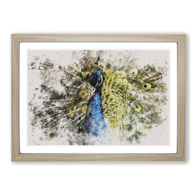 Peacock Vol.2 - Picture Frame Graphic Art, 48cm H x 65cm W x 2cm D, Oak Framed
