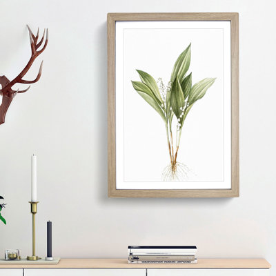 Lily of the Valley by Pierre-Joseph Redoute - Picture Frame Painting Print on MDF