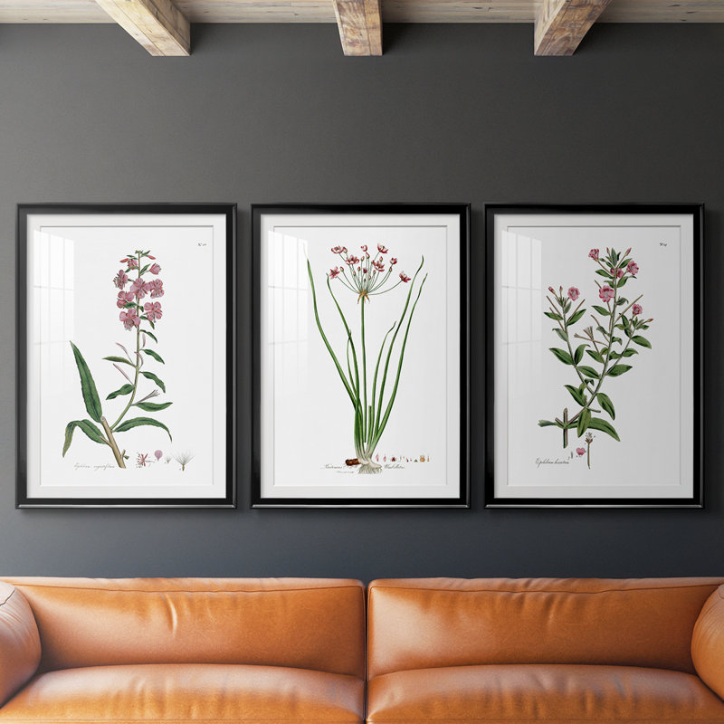 Rose Botanical I - reproduction sur mesure encadrée de qualité supérieure - 3 pièces, H 19 po x l 27 po, Noir
