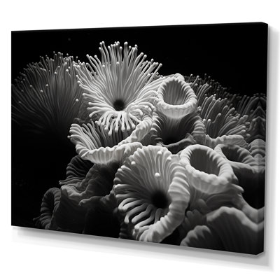 «Black and White Anemoner Color», reproduction d'art sur toile