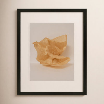 Lorena "Unpackage 2" Print