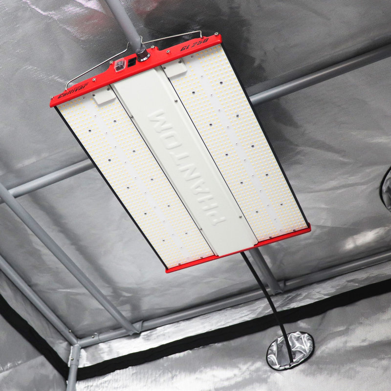 PHANTOM Cultivar 250 Watt Grow Light, 80" H x 60" W x 60" D