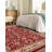 Zayandeh Oriental Area Rug in Rust-69593088